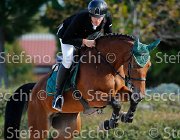 Marchese Carlalberto, Chidamina GioCav2013 S5 1466 : Campionati Italiani Giovani Cavalli, Cattolica, Chidamina, Marchese Carlalberto, ph Stefano Secchi ©